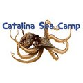 Catalina Sea Camp